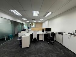 Vertex (D14), Factory #504186321